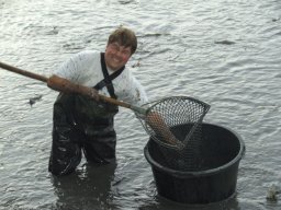 Abfischen 2006
